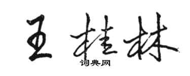 骆恒光王桂林行书个性签名怎么写
