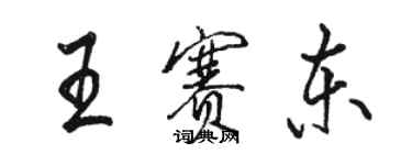骆恒光王赛东行书个性签名怎么写