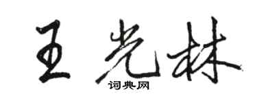 骆恒光王光林行书个性签名怎么写