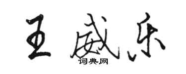骆恒光王威乐行书个性签名怎么写