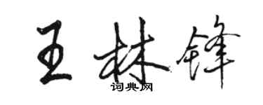 骆恒光王林锋行书个性签名怎么写