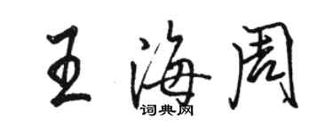 骆恒光王海周行书个性签名怎么写