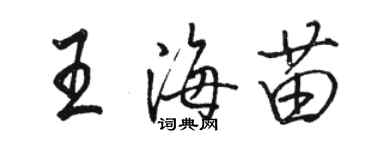 骆恒光王海苗行书个性签名怎么写