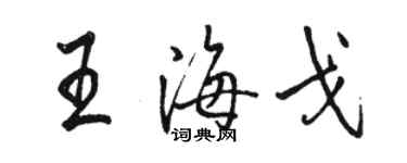 骆恒光王海戈行书个性签名怎么写