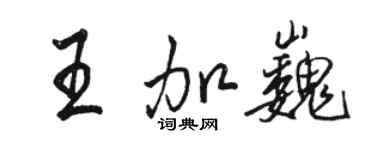 骆恒光王加巍行书个性签名怎么写