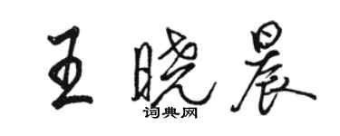 骆恒光王晓晨行书个性签名怎么写