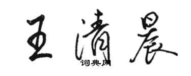 骆恒光王清晨行书个性签名怎么写