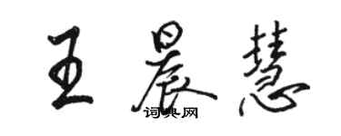 骆恒光王晨慧行书个性签名怎么写