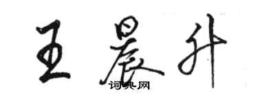 骆恒光王晨升行书个性签名怎么写