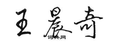 骆恒光王晨奇行书个性签名怎么写