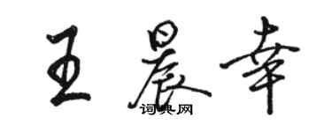 骆恒光王晨幸行书个性签名怎么写