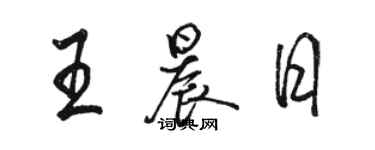 骆恒光王晨日行书个性签名怎么写