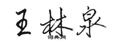 骆恒光王林泉行书个性签名怎么写