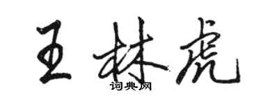 骆恒光王林虎行书个性签名怎么写