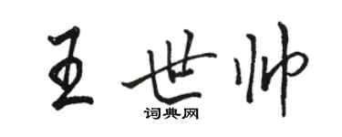 骆恒光王世帅行书个性签名怎么写
