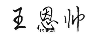 骆恒光王恩帅行书个性签名怎么写