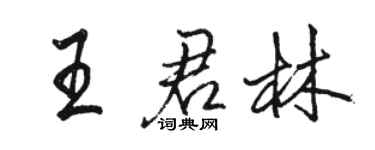 骆恒光王君林行书个性签名怎么写