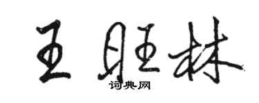 骆恒光王旺林行书个性签名怎么写