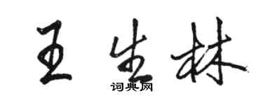 骆恒光王生林行书个性签名怎么写