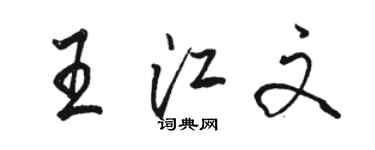 骆恒光王江文行书个性签名怎么写