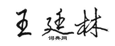 骆恒光王廷林行书个性签名怎么写