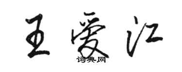 骆恒光王爱江行书个性签名怎么写