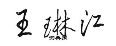 骆恒光王琳江行书个性签名怎么写