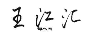 骆恒光王江汇行书个性签名怎么写