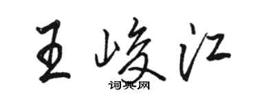 骆恒光王峻江行书个性签名怎么写