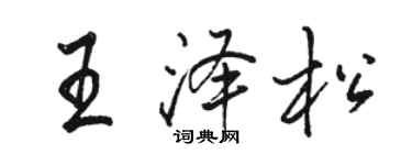 骆恒光王泽松行书个性签名怎么写