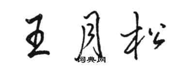 骆恒光王月松行书个性签名怎么写