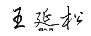 骆恒光王延松行书个性签名怎么写