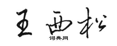 骆恒光王西松行书个性签名怎么写