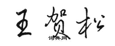 骆恒光王贺松行书个性签名怎么写