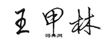 骆恒光王甲林行书个性签名怎么写