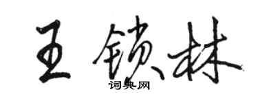 骆恒光王锁林行书个性签名怎么写