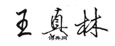 骆恒光王真林行书个性签名怎么写