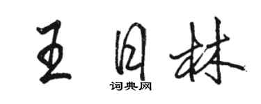 骆恒光王日林行书个性签名怎么写