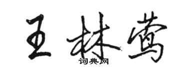 骆恒光王林莺行书个性签名怎么写