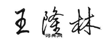骆恒光王隆林行书个性签名怎么写