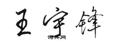 骆恒光王宇锋行书个性签名怎么写