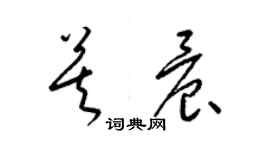 梁锦英莫晨草书个性签名怎么写