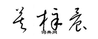 梁锦英莫梓晨草书个性签名怎么写