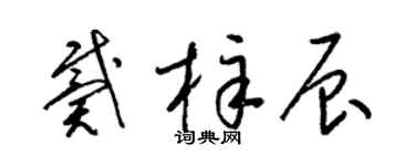 梁锦英戴梓辰草书个性签名怎么写