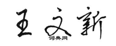 骆恒光王文新行书个性签名怎么写