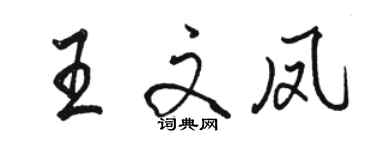 骆恒光王文凤行书个性签名怎么写