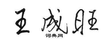 骆恒光王成旺行书个性签名怎么写