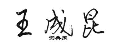 骆恒光王成昆行书个性签名怎么写