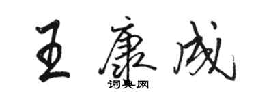 骆恒光王康成行书个性签名怎么写