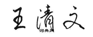 骆恒光王清文行书个性签名怎么写